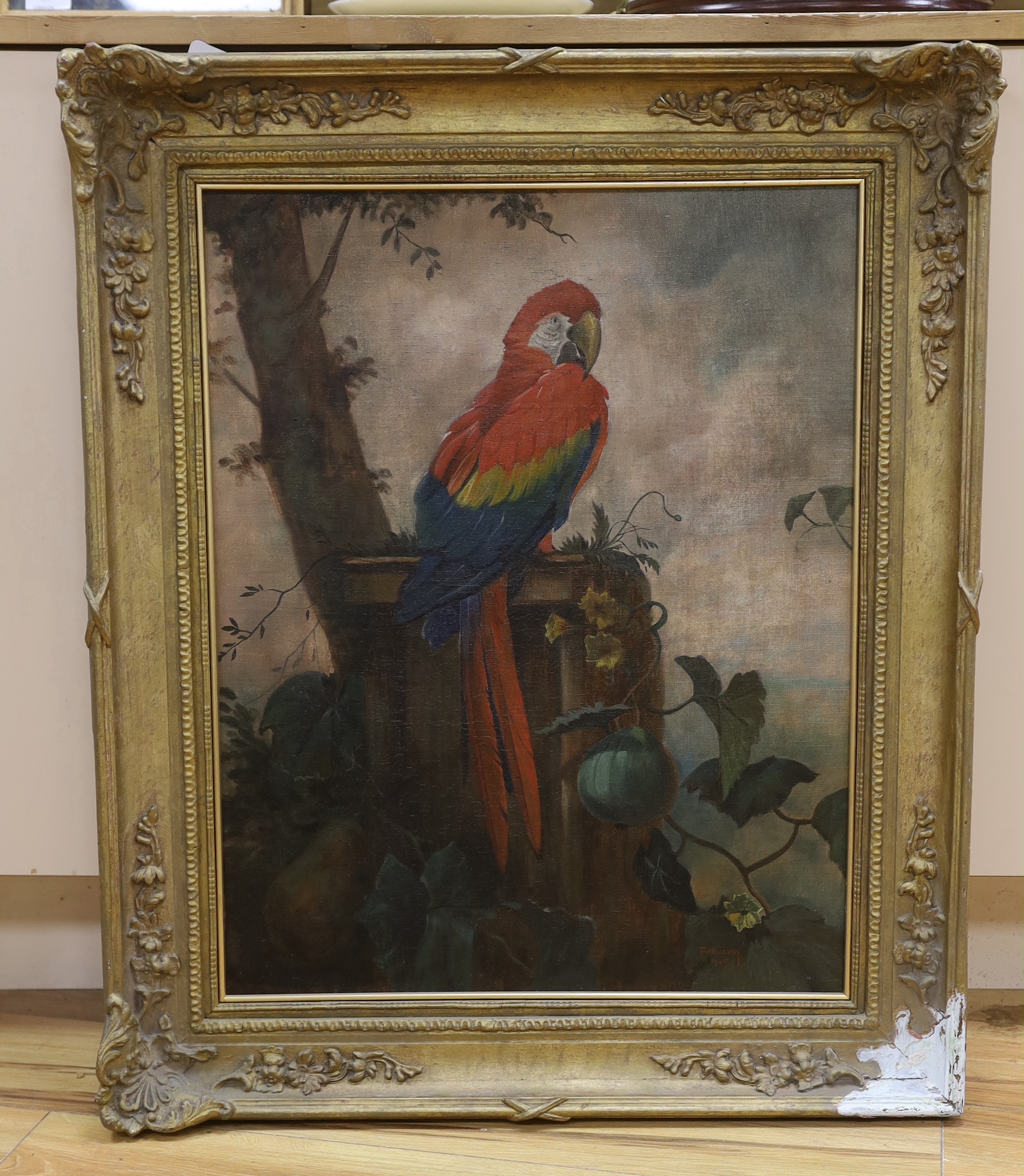 F.W. Baldry, 20th century oil on canvas, Study of a macaw, signed and dated 1925, 62 x 49cm